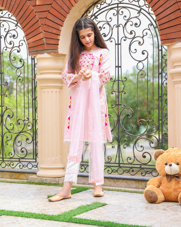 Embroidered Shalwar kameez with dupata