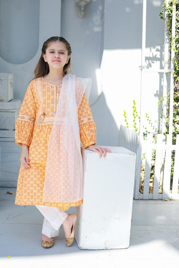 Carrot Crunch 3Pc Lawn Dress